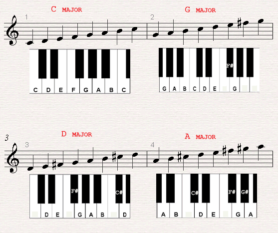 A chord chard of a C major, G major, D major and A major scales.