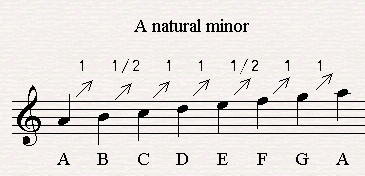 The order whole steps and half steps in a minor scale which is a diatonic scale as well.