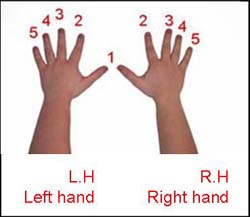 Basic Piano Fingerings