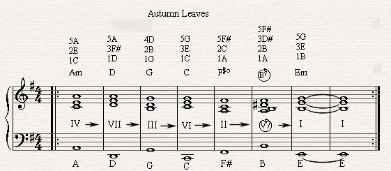 The diatonic circle chord progression in autumn leaves.