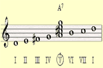 Secondary Dominant Chord