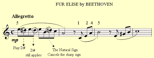 A Natural Sign in Fur Elise by Beethoven.