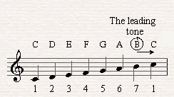 The leading tone in C major (The seventh note)