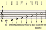 Scale Degrees