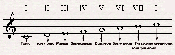 The scale degrees in C major