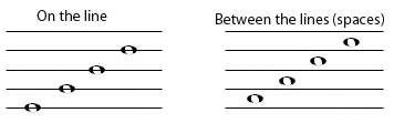 I disinguish in the image between notes on the line and notes between the lines (on the spaces).