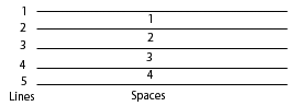 The staff is made out of spaces and lines and this is how
we can tell which note we're supposed to play.