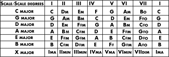 Major scale Chord degrees.