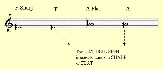 The Natural Sign cancels a sharp or a flat.